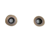RDGT
